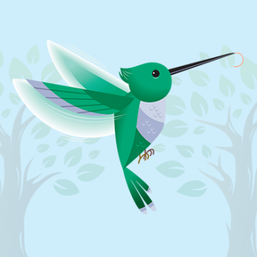 Hummingbirds Quiz