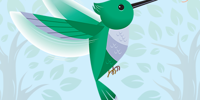 Hummingbirds Quiz