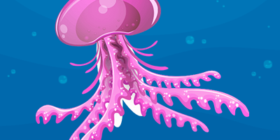 Jelly Fish trivia