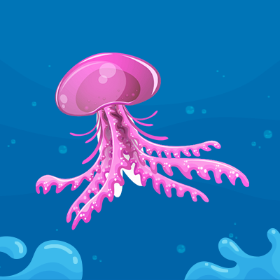 Jelly Fish trivia
