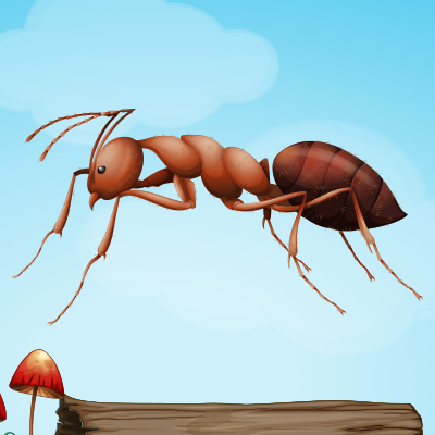 Ants trivia quiz