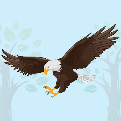 bald eagle quiz