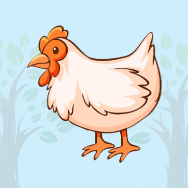 chicken chicken trivia