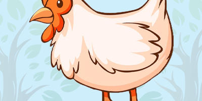 chicken chicken trivia