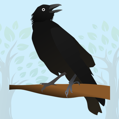 Crow Quiz
