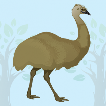 Emu Quiz