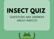 insects Trivia for kids