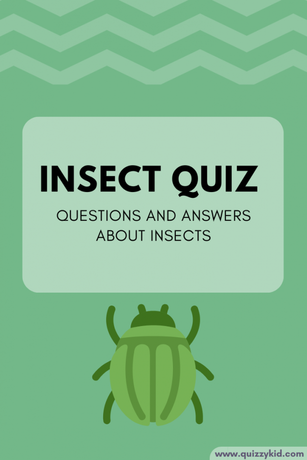 insects Trivia for kids