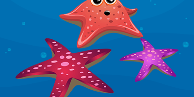 starfish Starfish Sea Creature