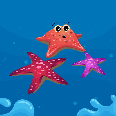 Starfish Sea Creature