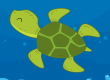 Turtle trivia