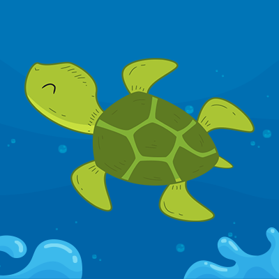 Turtle trivia