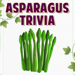 Asparagus Trivia