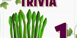 Asparagus Trivia 1