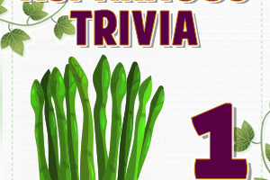 Asparagus Trivia 1