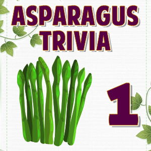 Asparagus Trivia 1