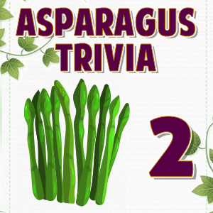 Asparagus Trivia 2