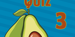Avocado Quiz 3