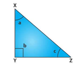 trigonometry quiz