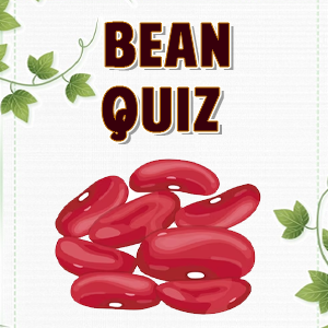 Bean Quiz