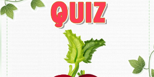 Beetroot Quiz