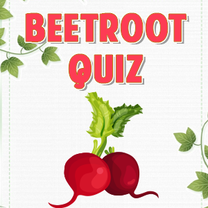 Beetroot Quiz