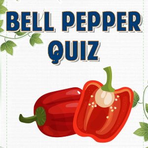 Bell Pepper Quiz