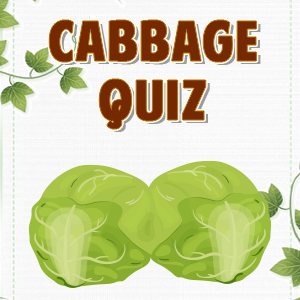 Cabbage Quiz