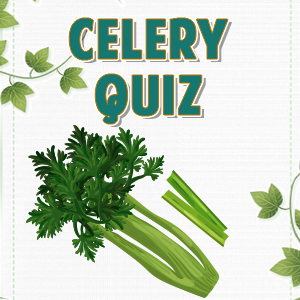 Celery Quiz