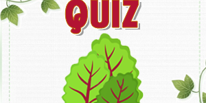 Chard Quiz