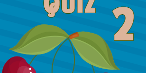 Cherry Quiz 2