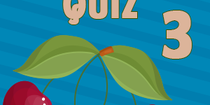 Cherry Quiz 3