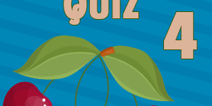 Cherry Quiz 4