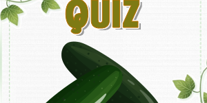 Cucumber Quiz