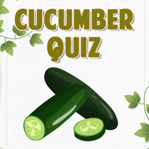 Cucumber Quiz