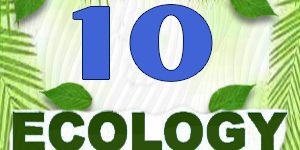 Ecology Quiz 10