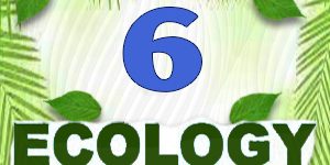Ecology Quiz 6
