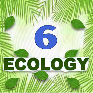 Ecology Quiz 6