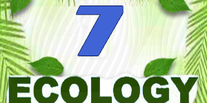 Ecology Quiz 7 Ecology Quiz 7