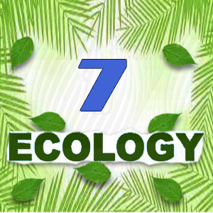 Ecology Quiz 7