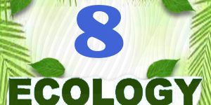Ecology Quiz 08