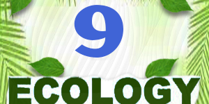 Ecology Quiz 9 Ecology Quiz 09