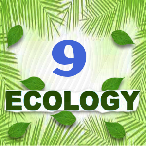 Ecology Quiz 09