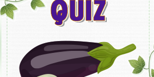 Eggplant Quiz