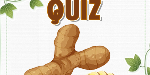 Ginger Quiz