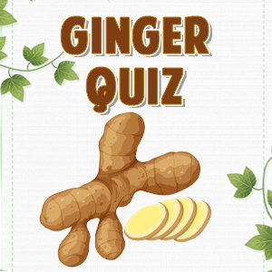 Ginger Quiz
