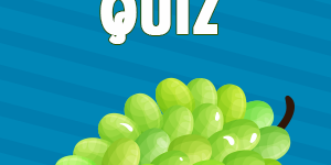 Grapes Quiz Grapes Quiz