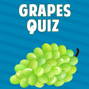 Grapes Quiz Grapes Quiz