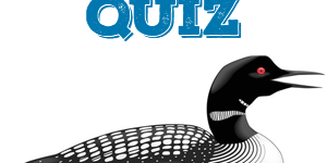 Loons quiz.jpg Loons Quiz