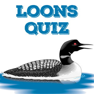 Loons Quiz